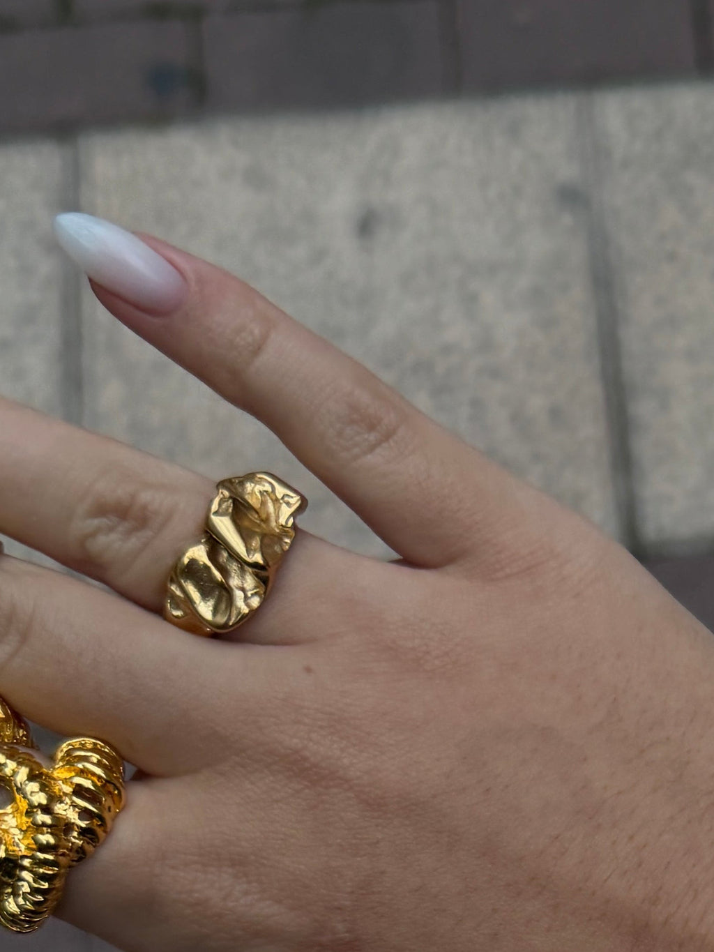 Anillo GARA
