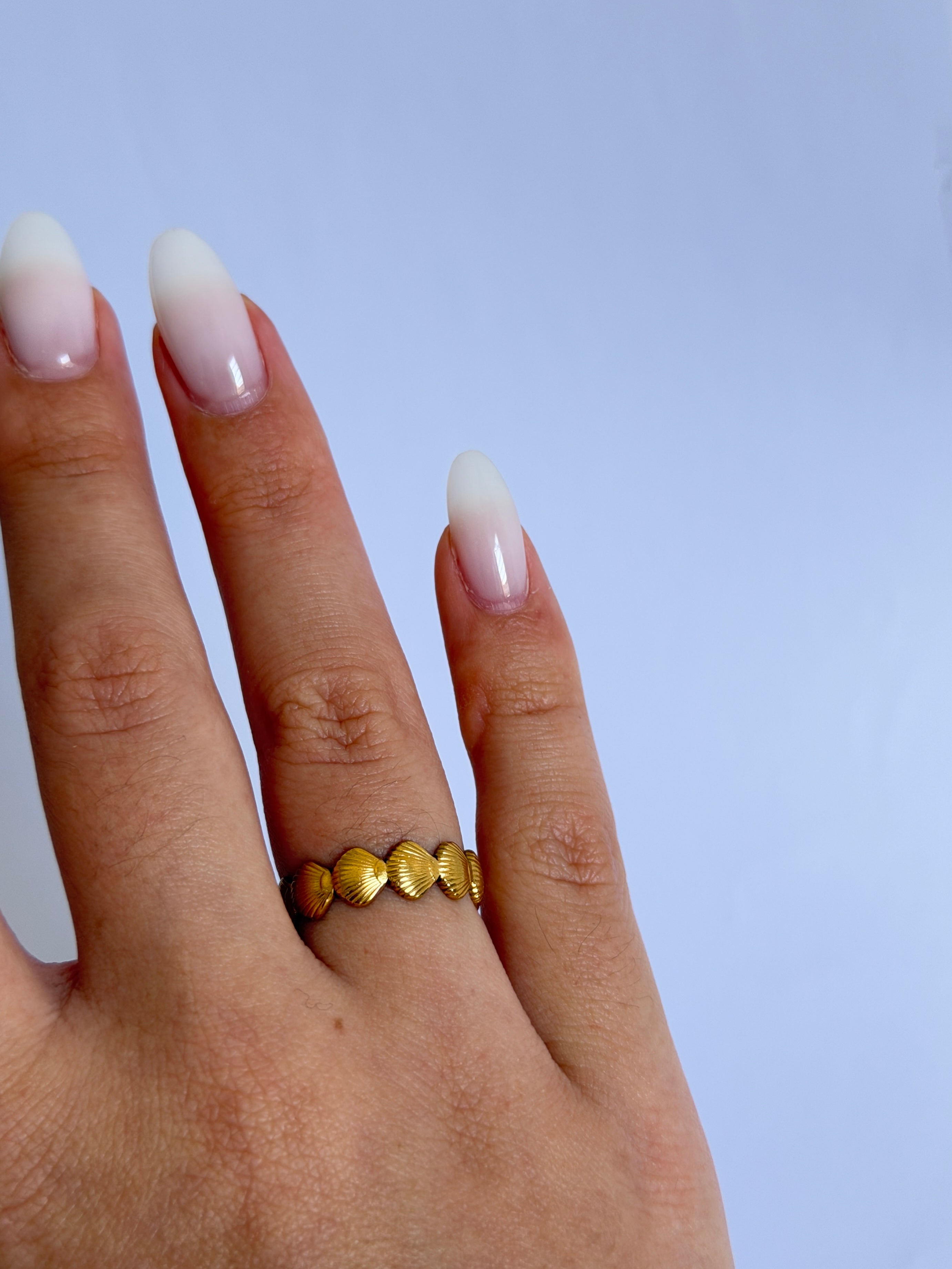 Bague ST JACQUES